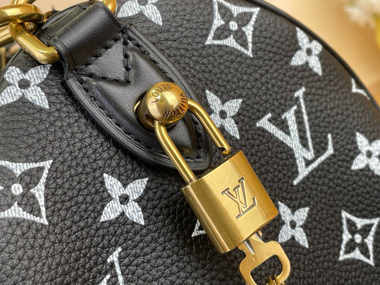 کیف زنانه برند Louis Vuitton