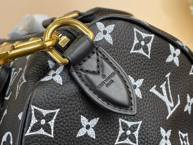 کیف زنانه برند Louis Vuitton