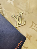 کاپشن مردانه برند Louis Vuitton