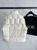 کاپشن مردانه برند Dior