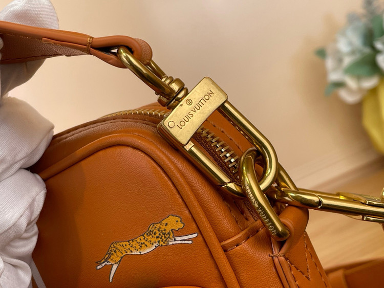 کیف زنانه برند Louis Vuitton